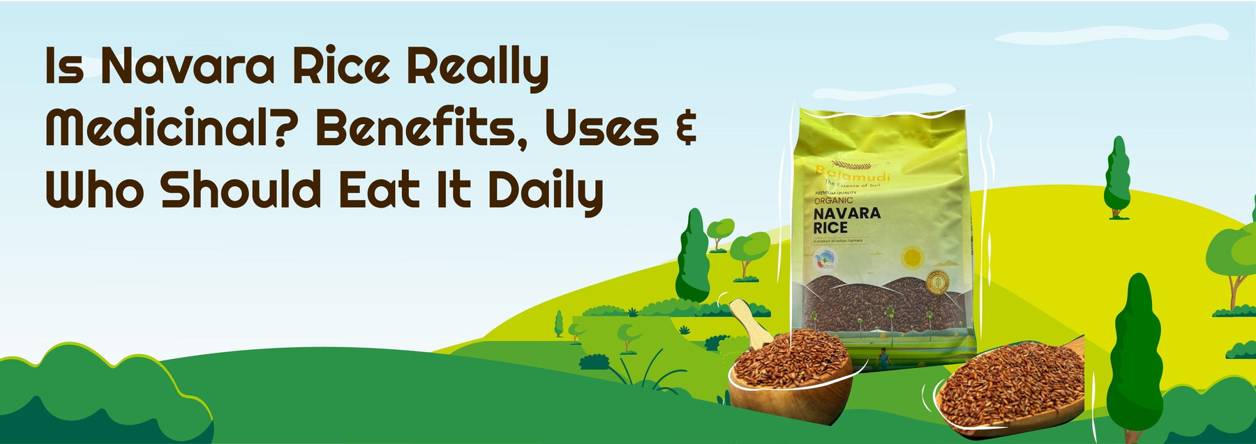 Is Navara Rice Really Medicinal? Benefits, Uses & Who Should Eat It Daily