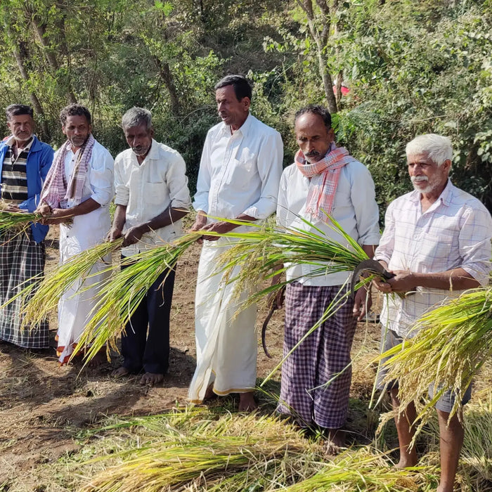 Rajamudi-Rice Rajamudi Organics