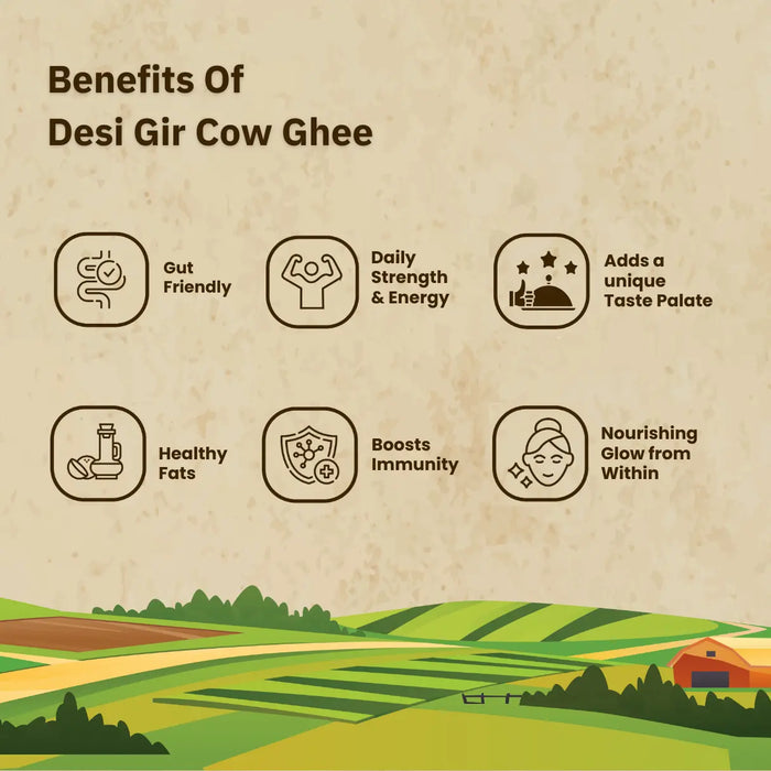Rajamudi A2 Gir Cow Ghee 500ml | Pure Desi Ghee Made Using Traditional Bilona Method | Rich in Nutrition & Natural Goodness | Made from our Local Chittor Farm's Gir Cows
