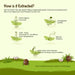 extraction method