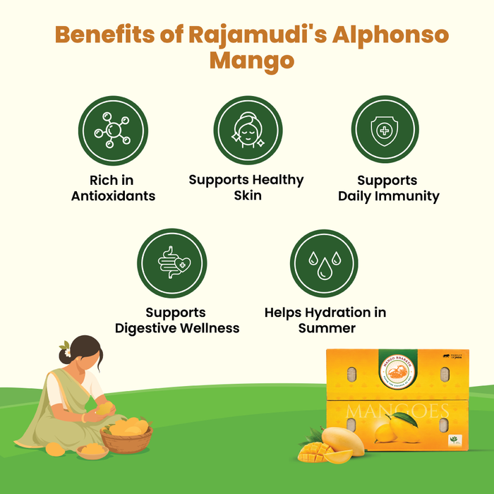 Organic Alphonso Mango (Hapus) – Carbide-Free | Rajamudi Organics