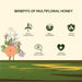 Benefits of Natural Multifloral Honey