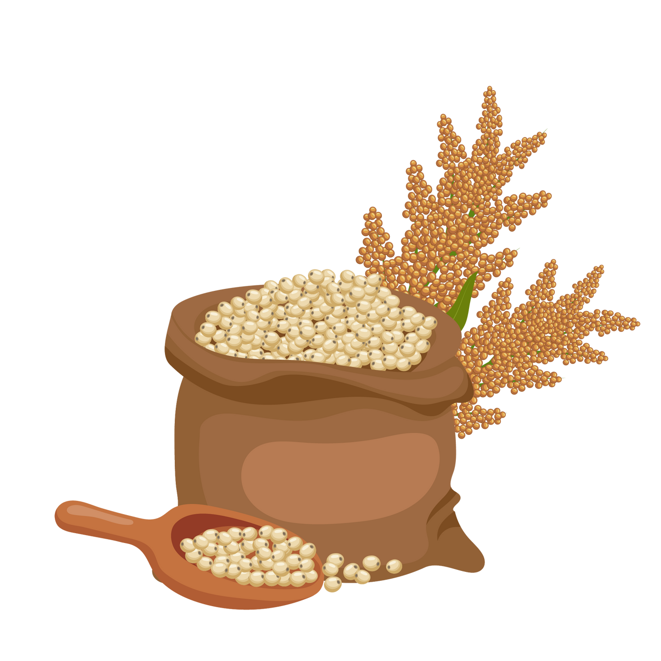 Organic Millets