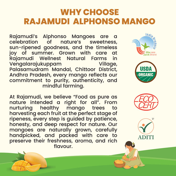 Organic Alphonso Mango (Hapus) – Carbide-Free | Rajamudi Organics