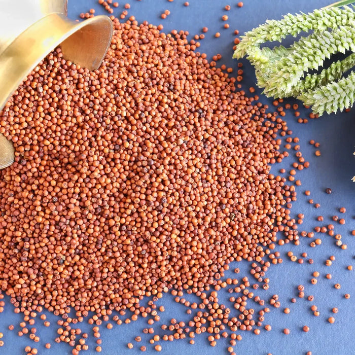 Rajamudi Finger Millet Whole Grain- Ragi  Unpolished | Rajamudi Organics