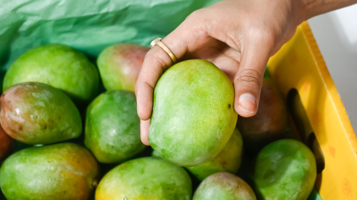 Organic Sindhura Mango – Honey Mango of South India | Rajamudi Organics
